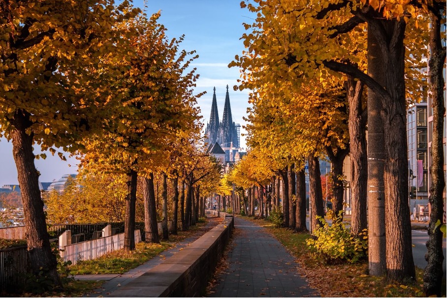 Herbstlicher Spazierweg mit Blick auf den Kölner Dom – Symbol für Tradition und energetischen Sanierungsbedarf in Altbauquartieren